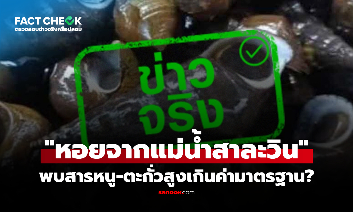 หอยจากแม่น้ำสาละวิน ตรวจพบสารหนู-ตะกั่วสูงเกินค่ามาตรฐาน จริงหรือไม่? : เช็กข่าวชัวร์