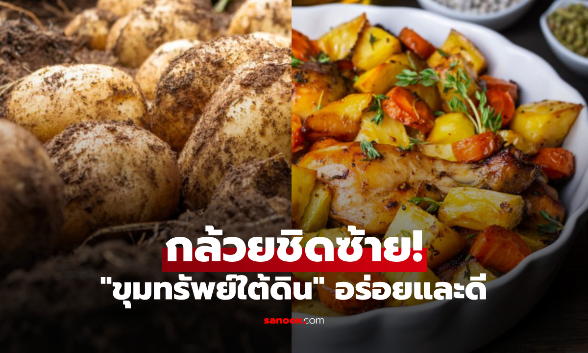 ขุมทรัพย์สุขภาพ! "ผลไม้ใต้ดิน" โพแทสเซียมสูงกว่ากล้วย 3 เท่า โปรตีนแน่นเทียบชั้นปวยเล้ง
