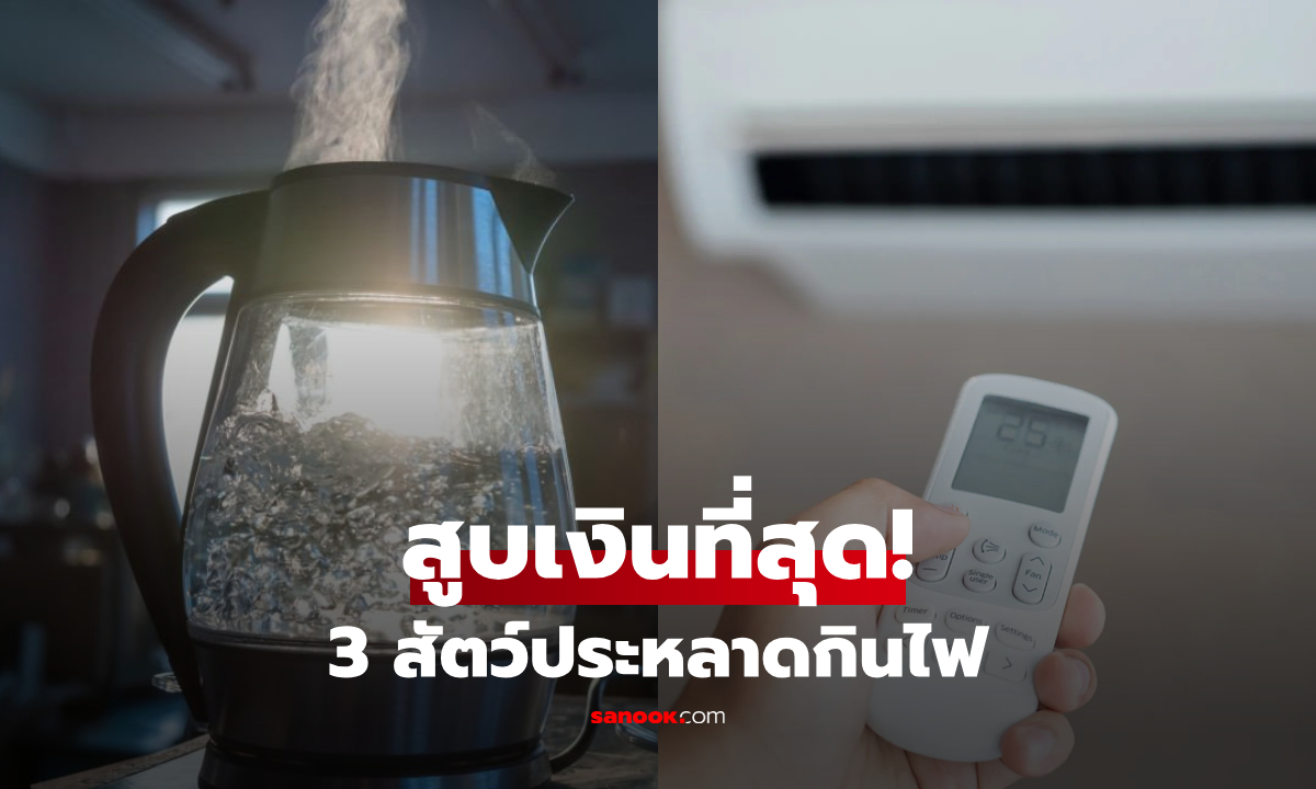วงในเตือนเอง! ฤดูร้อนต้องสยบ "3 สัตว์ประหลาดกินไฟ" กลยุทธ์จ่ายน้อยลงแต่เย็นฉ่ำ