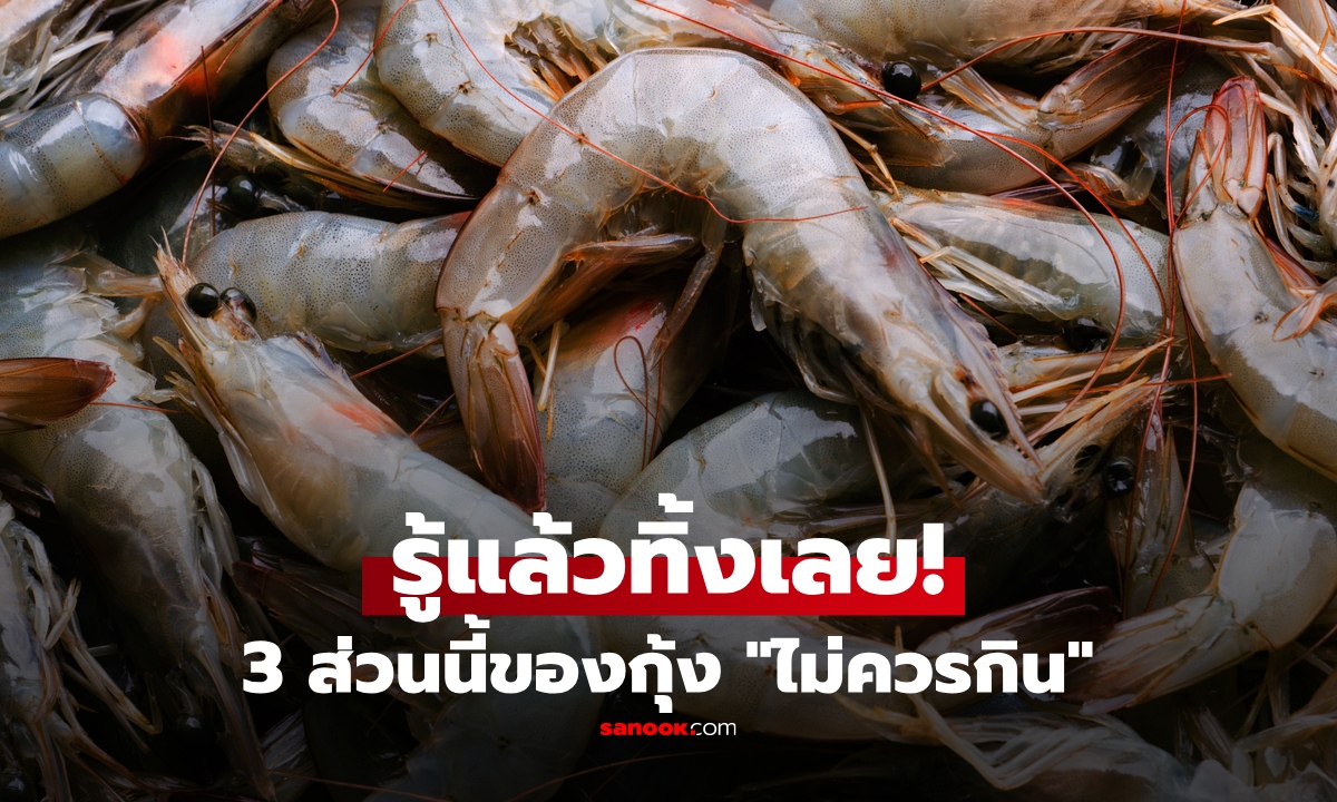 เพิ่งรู้ 3 ส่วนนี้ของกุ้ง "ไม่ควรกิน" หลายคนชอบกิน แหล่งสะสมเชื้อโรค-พยาธิ-โลหะหนัก เพียบ!
