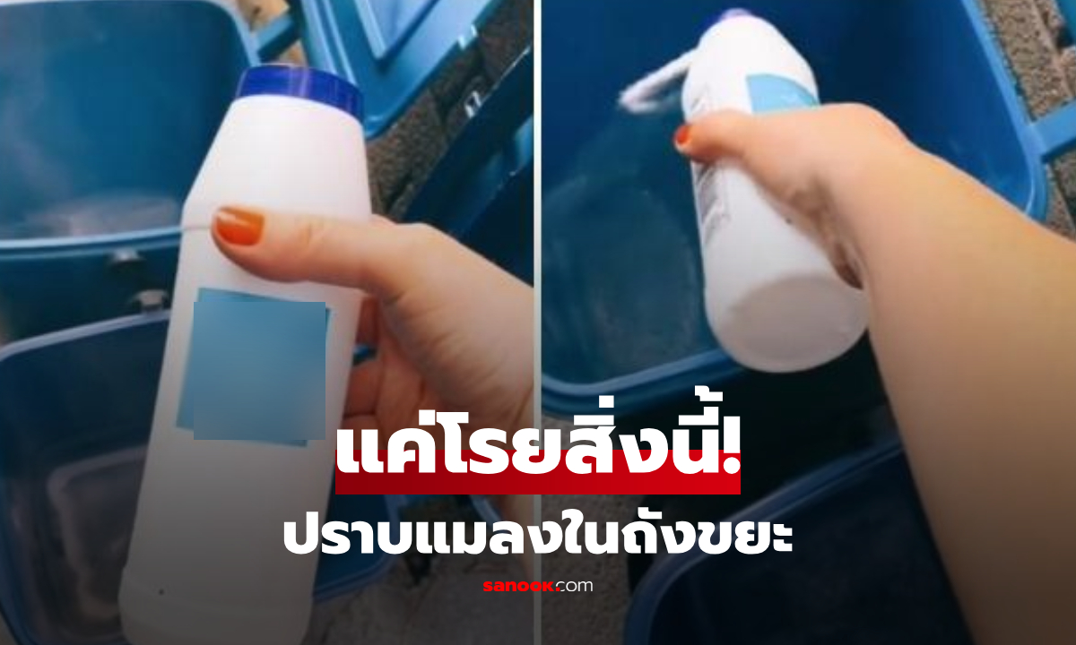 อึ้งทั้งโซเชียล! แค่โรย "สิ่งนี้" ลงถังขยะ ลาขาดแมลง-หนอนยั้วเยี้ย แห่กราบเคล็ดลับแม่บ้าน
