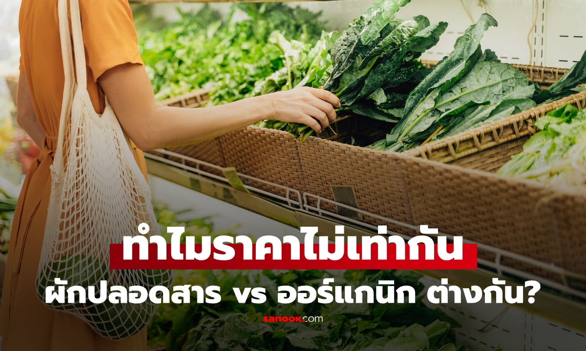 ผักปลอดสาร VS ผักออร์แกนิก ต่างกันยังไง? แบบไหนปลอดภัยกว่า อ่านจบเลือกซื้อเป็นทันที