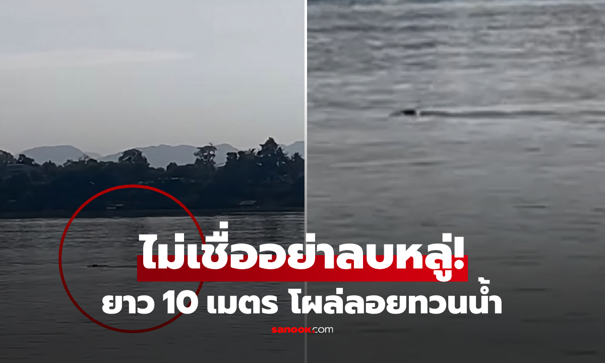 (มีคลิป) ขนลุกซู่! "สิ่งปริศนา" คล้ายงูยักษ์ 10 เมตร ลอยทวนน้ำโขง บวงสรวงตั้งคณะแพทย์ฯ