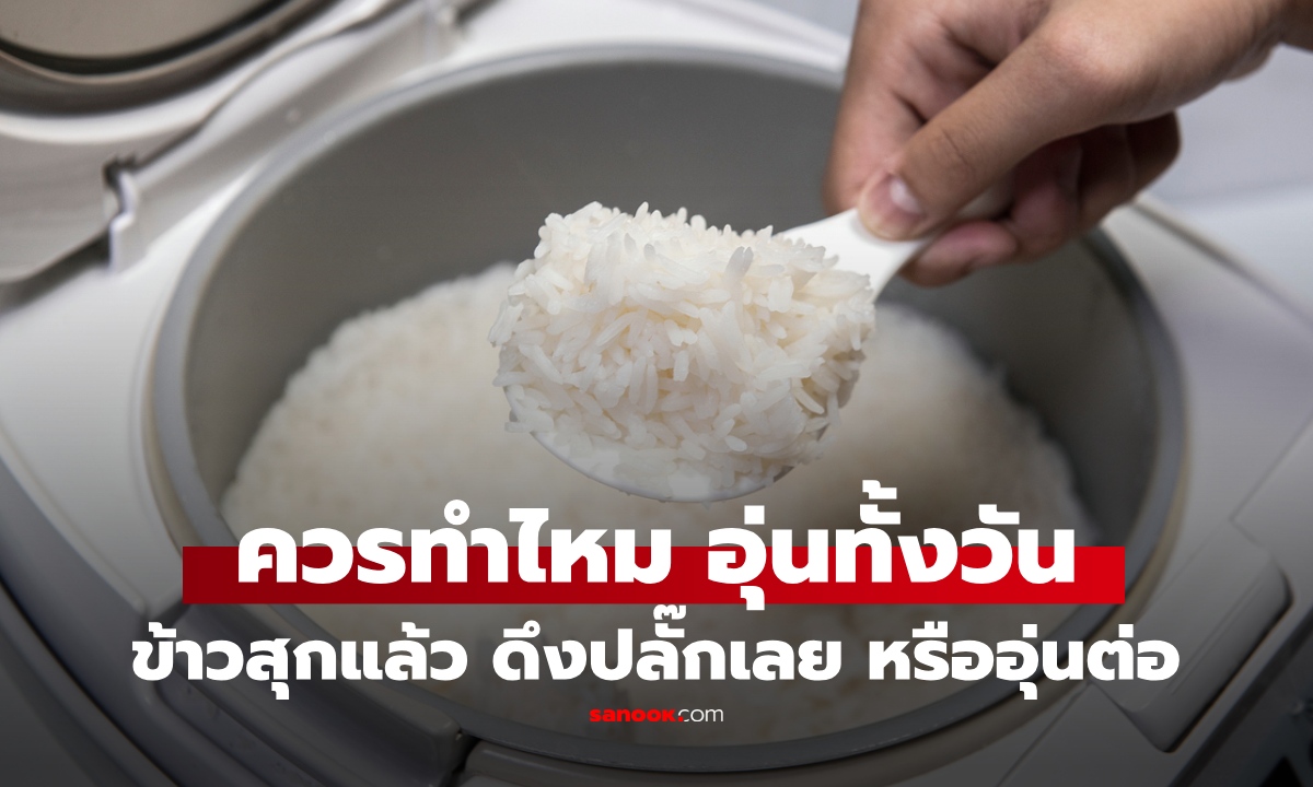 เปิดความจริง "โหมดอุ่น" บนหม้อหุงข้าว ปลอดภัยไหม? หลายบ้านชอบอุ่นทั้งวัน
