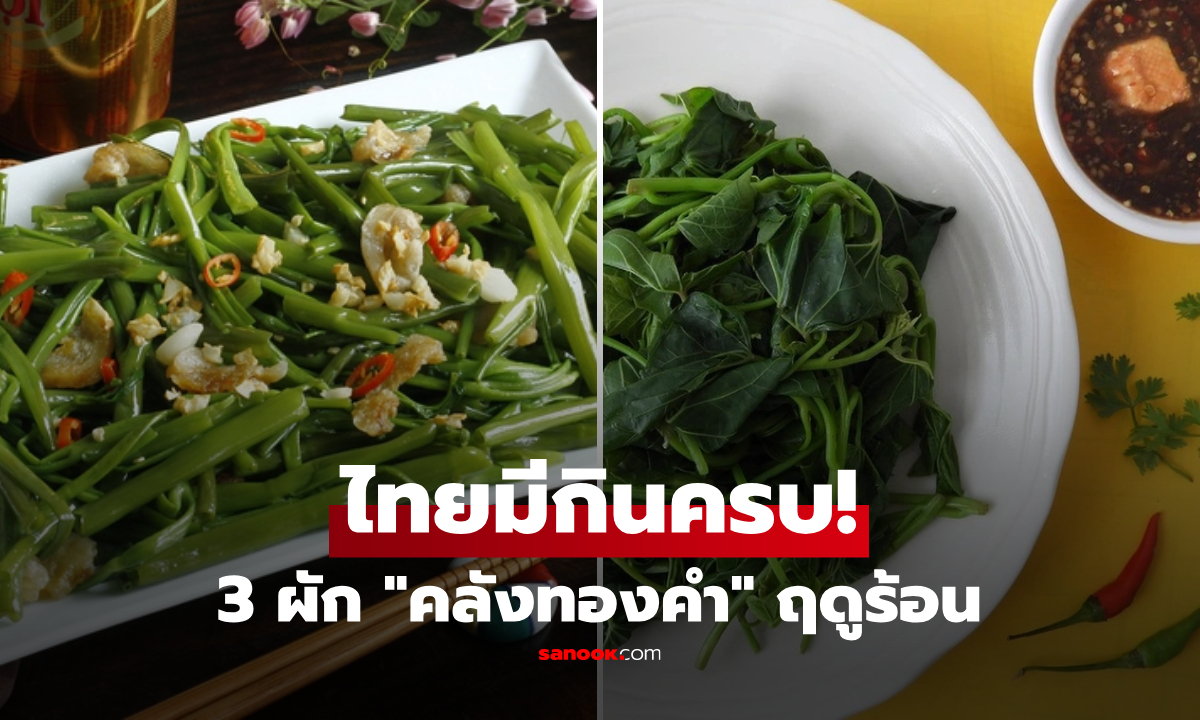 ไทยมีครบ! ต่างชาติอวย 3 ผัก "คลังทองคำ" ลดความดัน-ไขมันเลว บำรุงหัวใจสู้ศึกร้อน