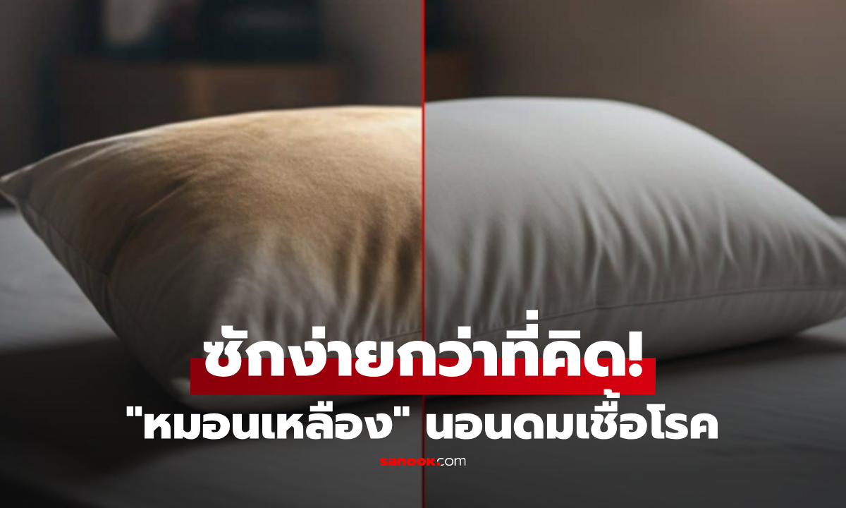 เลือกตามสะดวก! 5 วิธี "ซักหมอนเหลือง" สูตรระเบิดคราบ ไม่เหลือเชื้อรา-สะอาดยันไส้ใน