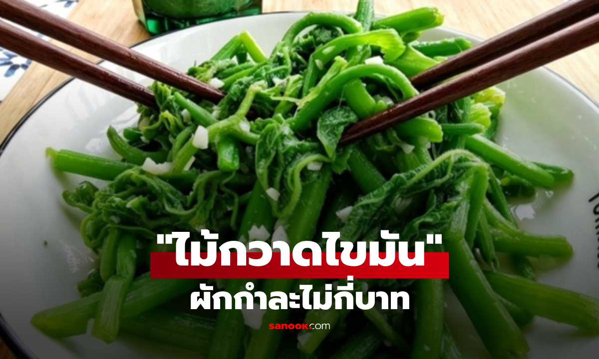 ดีกว่าสลัดแพงๆ! ผักกำละไม่กี่บาท แต่ได้ฉายา "ไม้กวาดไขมัน" ชั้นเลิศ  ดีท็อกซ์ลำไส้-พุงยุบข้ามคืน