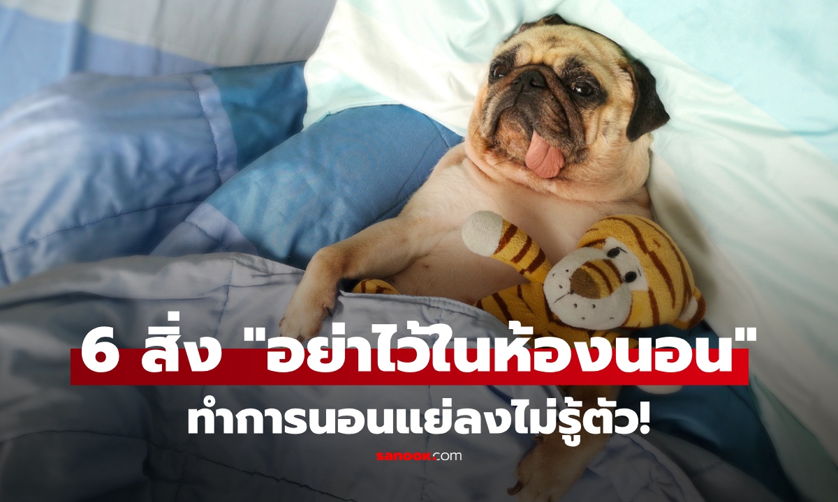 เช็กด่วน! 6 สิ่งใกล้ตัว "อย่าให้มีในห้องนอน" ทำการนอนหลับแย่ลงไม่รู้ตัว หลายบ้านมีครบ