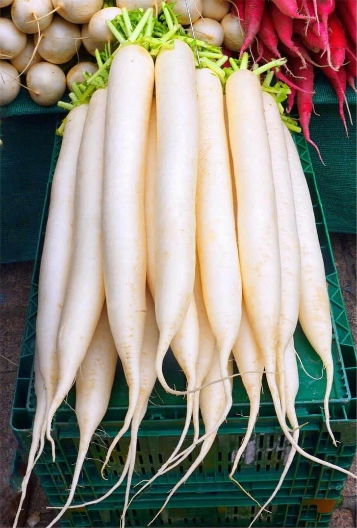 radish-3151347_1280
