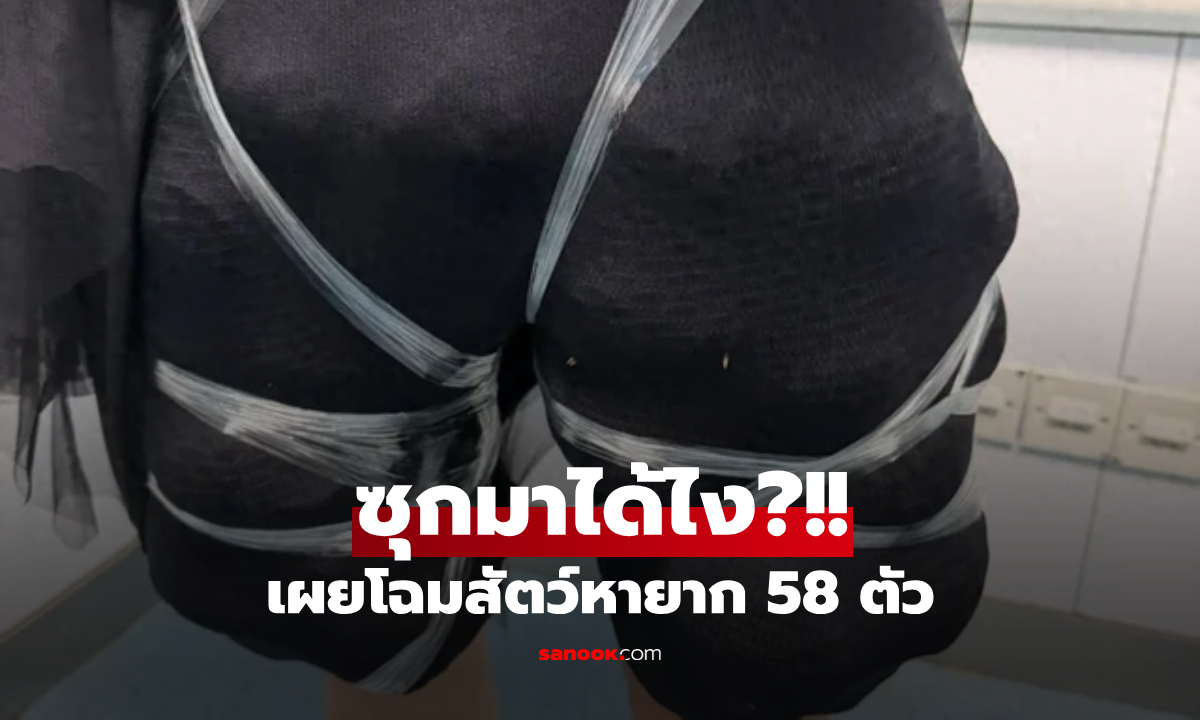 คาด่าน! หญิงพิรุธ "เดินท่าแปลก-มีกลิ่นคาว" จนท.ค้นเจอของแรร์ 58 ตัว อึ้งซุกมาได้ไง?