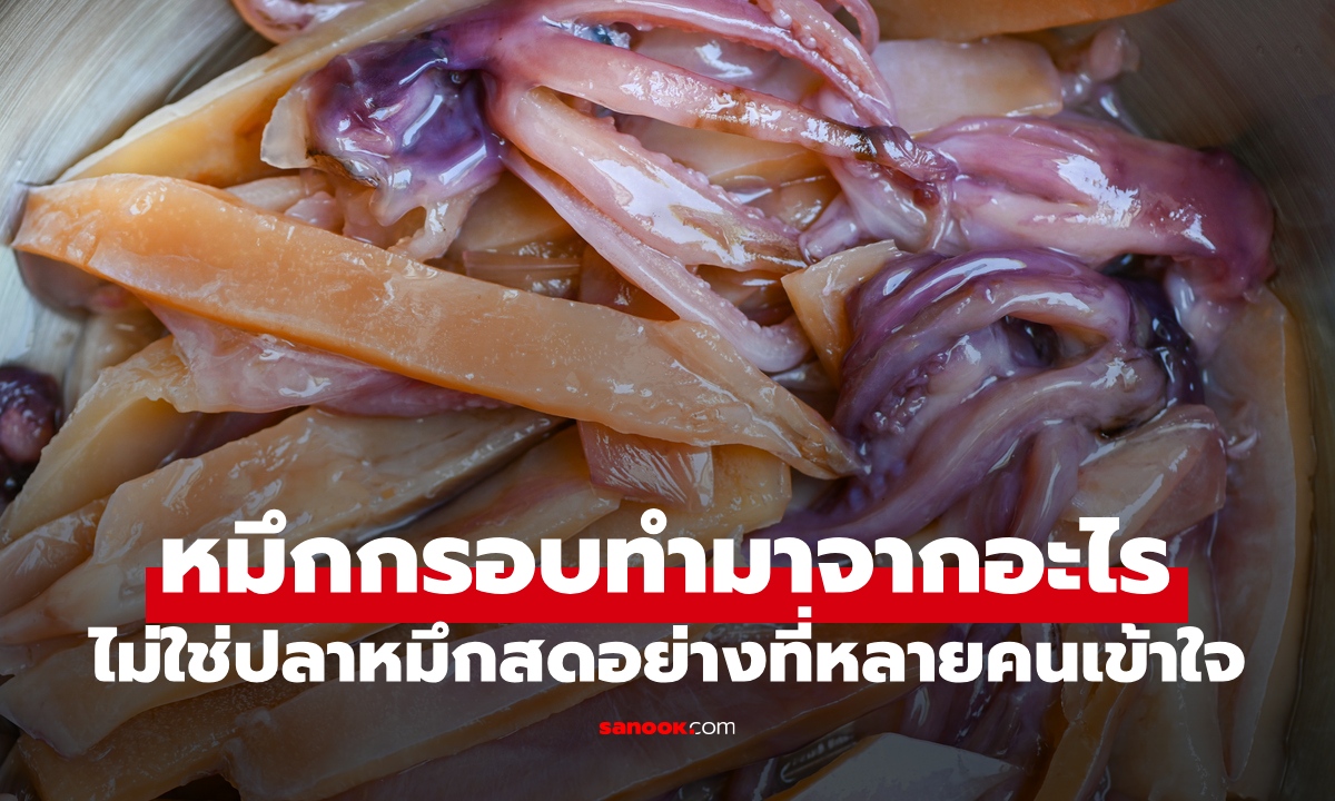 หมึกกรอบ ทำมาจากอะไร? ไม่ใช่หมึกสดอย่างที่หลายคนเข้าใจผิด รู้วิธีทำแล้วจะอึ้ง