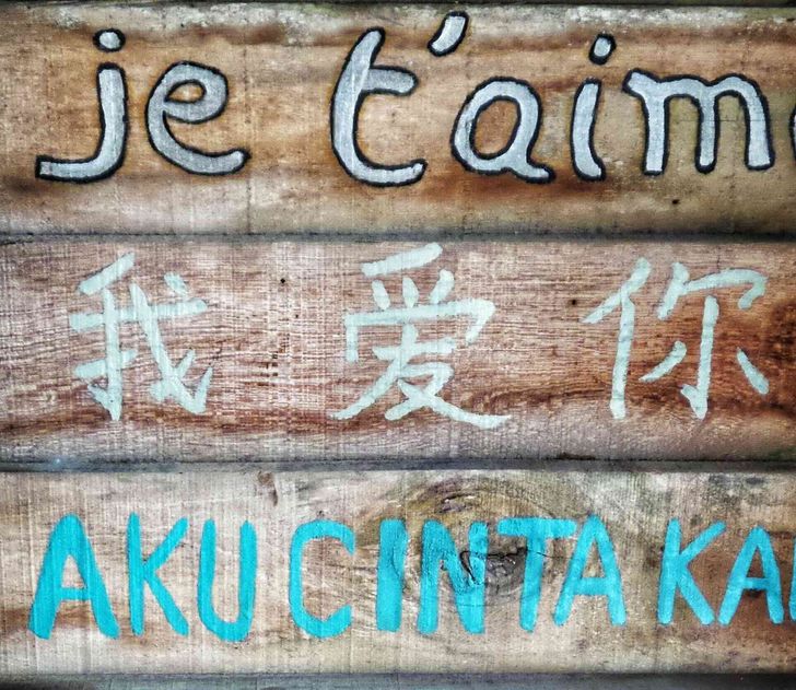 cuales-son-los-idiomas-mas-di