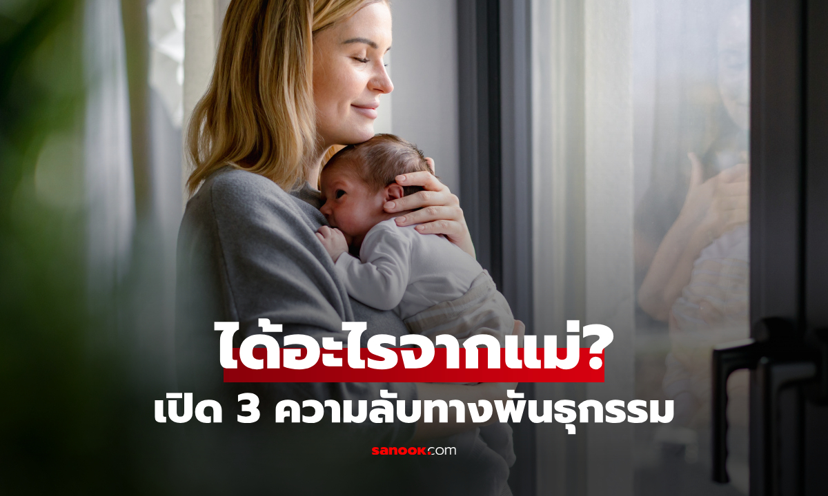 ลูกได้ใคร?! นักวิทย์ฯ เผย 3 สิ่งที่มนุษย์ "สืบทอดจากแม่" มากที่สุด ไม่ใช่แค่สมอง-ภูมิคุ้มกัน