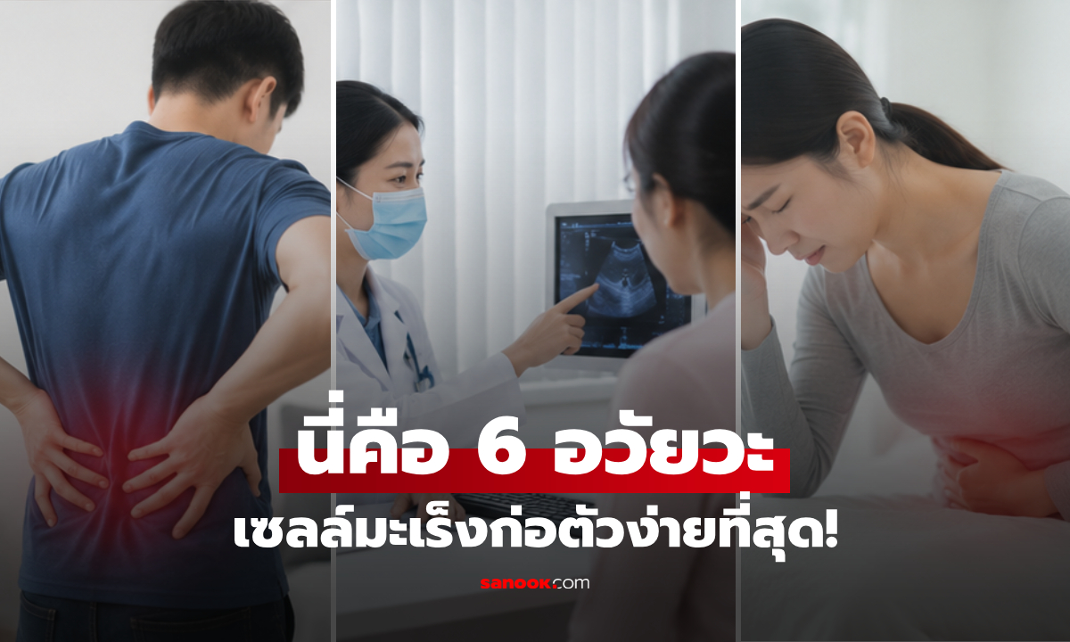 เช็กด่วน! 6 อวัยวะในร่างกายที่ "โรคมะเร็ง" ชอบมาเยือนมากที่สุด อนามัยโลกเปิดสถิติ