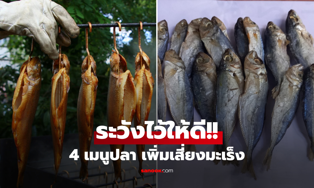 อร่อยแต่ต้องระวัง! เตือน 4 เมนู "ปลา" เสี่ยงสะสมสารพิษ กินบ่อยอาจกระตุ้นมะเร็ง