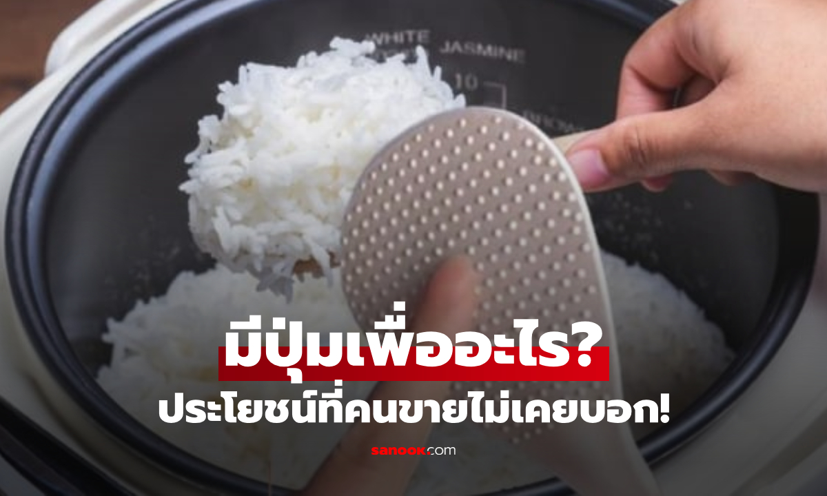 เฉลยแล้ว! "ปุ่มนูนเล็กๆ" บนทัพพีตักข้าว มีไว้ทำไม? ประโยชน์ลับที่หลายคนใช้ผิดมาตลอด