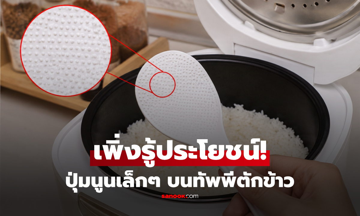เฉลยแล้ว! "ปุ่มนูนเล็กๆ" บนทัพพีตักข้าว มีไว้ทำไม? ประโยชน์ลับที่หลายคนใช้ผิดมาตลอด