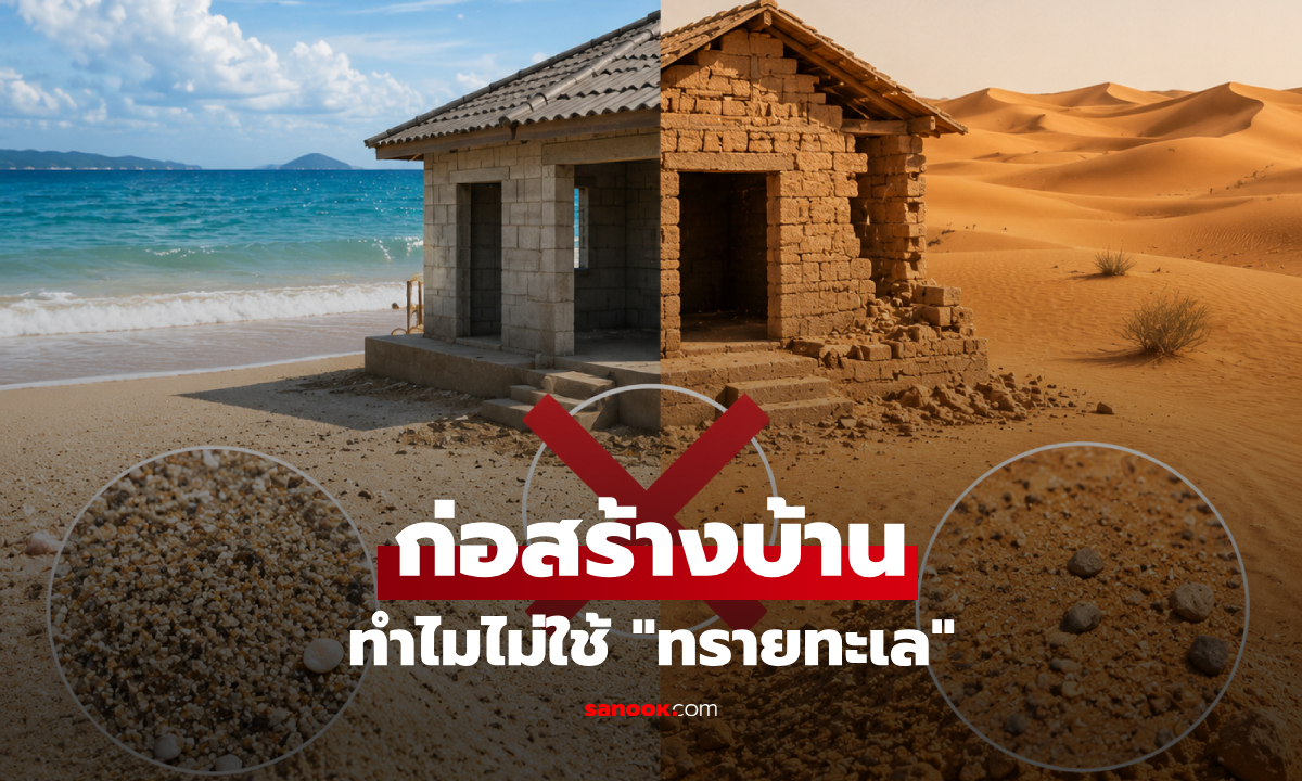 รู้แล้วหายสงสัย! ทำไม "ทรายทะเล-ทะเลทราย" มีอยู่ล้นโลก แต่ไม่มีใครกล้าใช้สร้างบ้าน