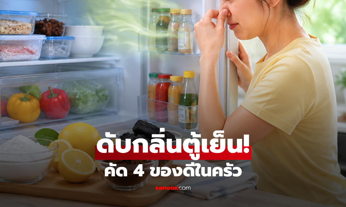 รู้แล้วห้ามทิ้ง! 4 ไอเทมลับ "ดับกลิ่นตู้เย็น" ใครมีข้อ 3 ช่วยเซฟเงินในกระเป๋าได้สบาย