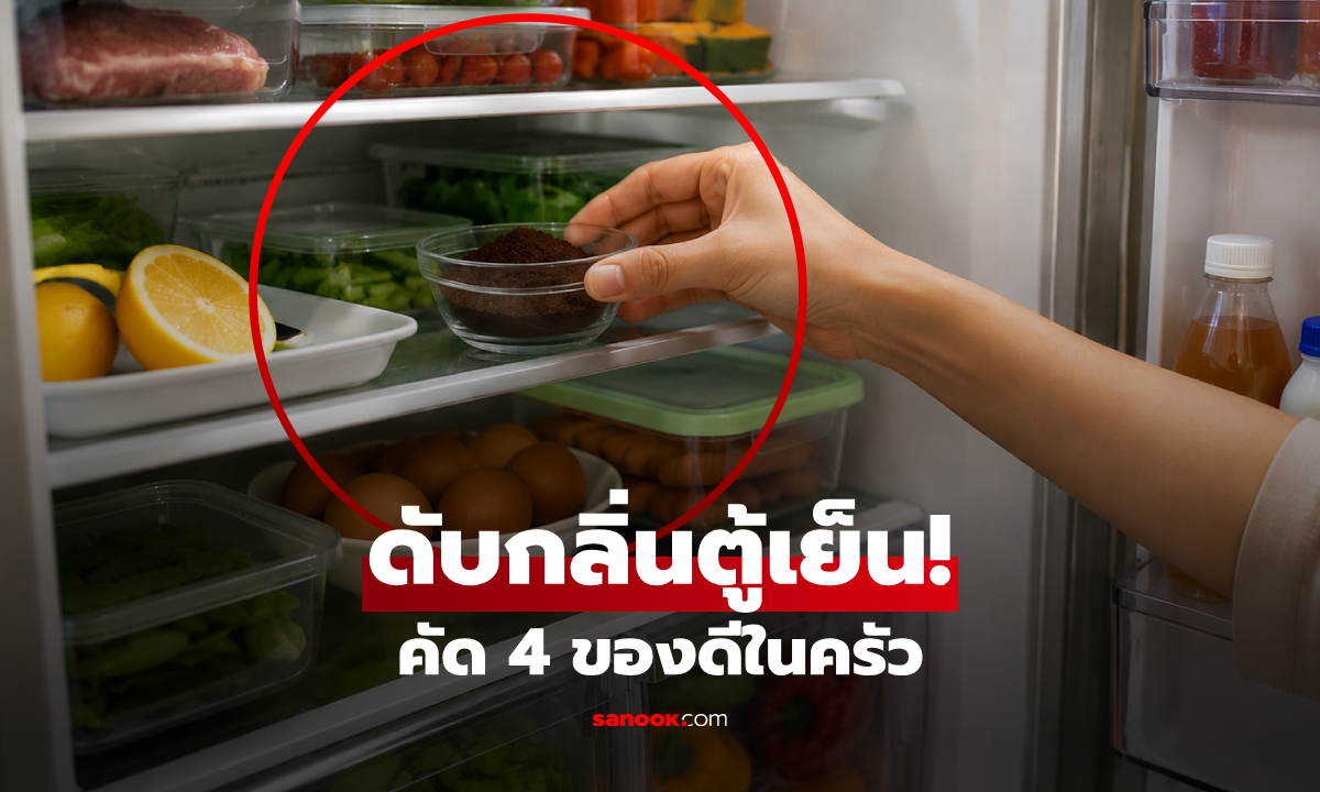 รู้แล้วห้ามทิ้ง! 4 ไอเทมลับ "ดับกลิ่นตู้เย็น" ใครมีข้อ 3 ช่วยเซฟเงินในกระเป๋าได้สบาย
