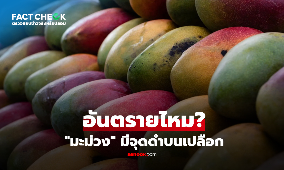 "มะม่วง" มีจุดดำบนเปลือก ติดโรค Anthracnose กินไปอันตรายไหม? : เช็กข่าวชัวร์