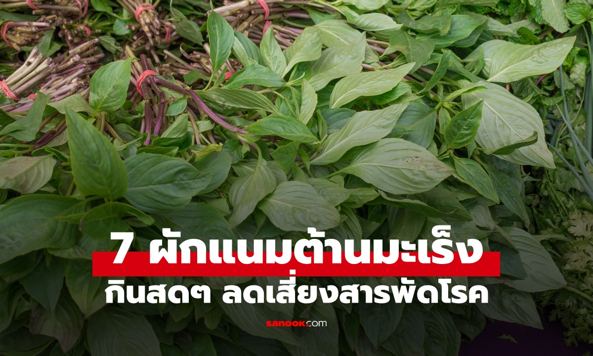 7 ผักแนม "อาวุธลับเคียงจาน" ศัตรูตัวฉกาจของมะเร็ง กินสดๆ ลดเสี่ยงสารพัดโรค