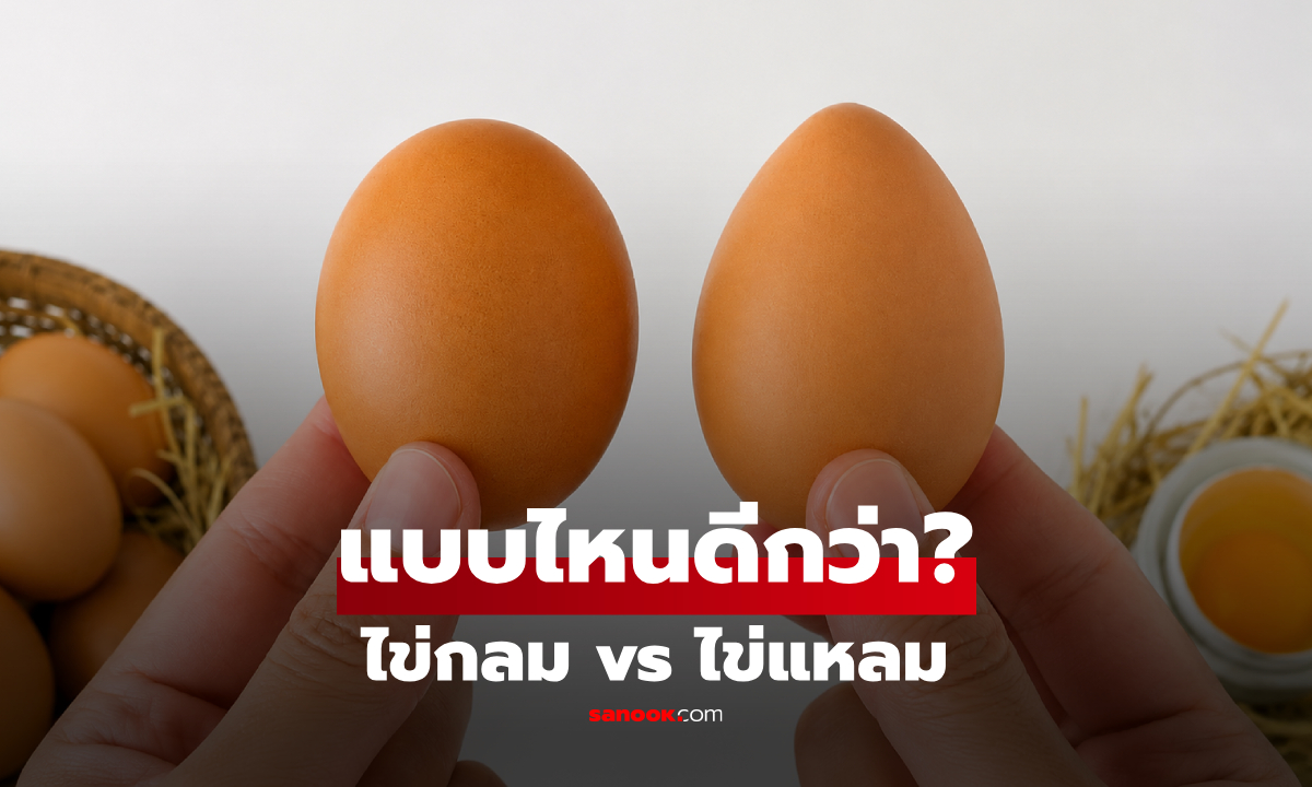 ไข่กลม vs ไข่แหลม เลือกกินแบบไหนอร่อย-มีคุณค่าทางโภชนาการมากกว่ากัน?