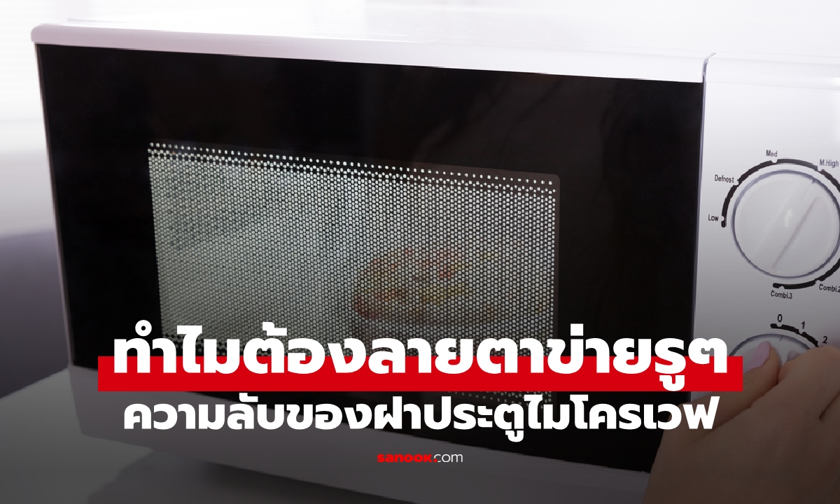 ประตูไมโครเวฟ ทำไมต้องเป็นลายตาข่ายรูๆ ยืนจ้องเตาตอนอุ่นอาหาร อันตรายไหม?
