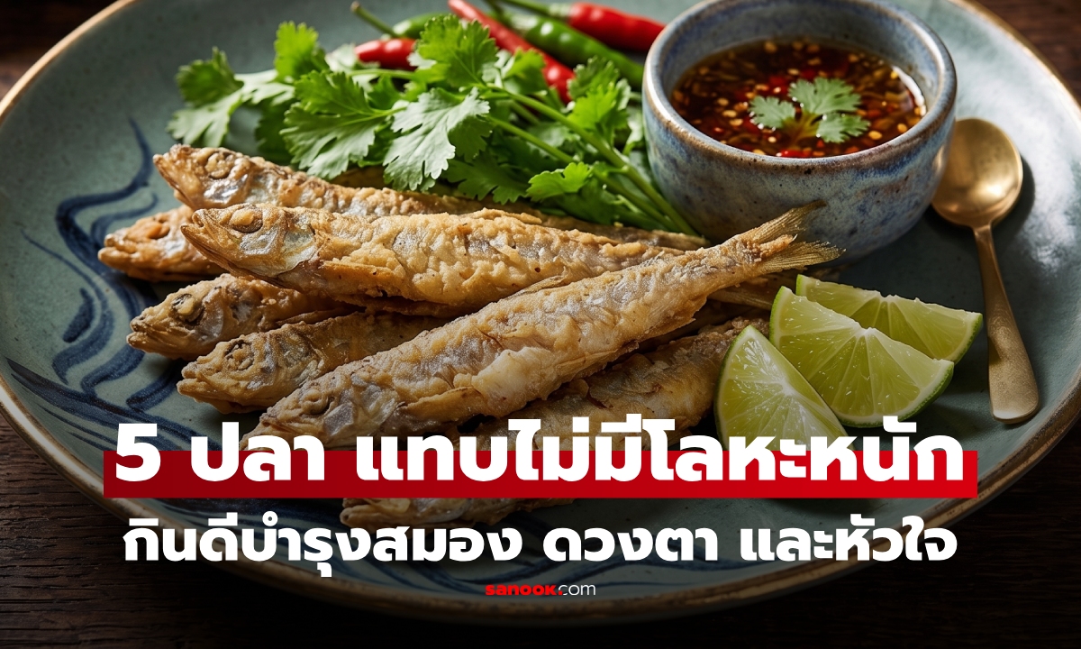 ผู้เชี่ยวชาญแนะ 5 ปลา "แทบไม่มีโลหะหนัก" ประโยชน์เ