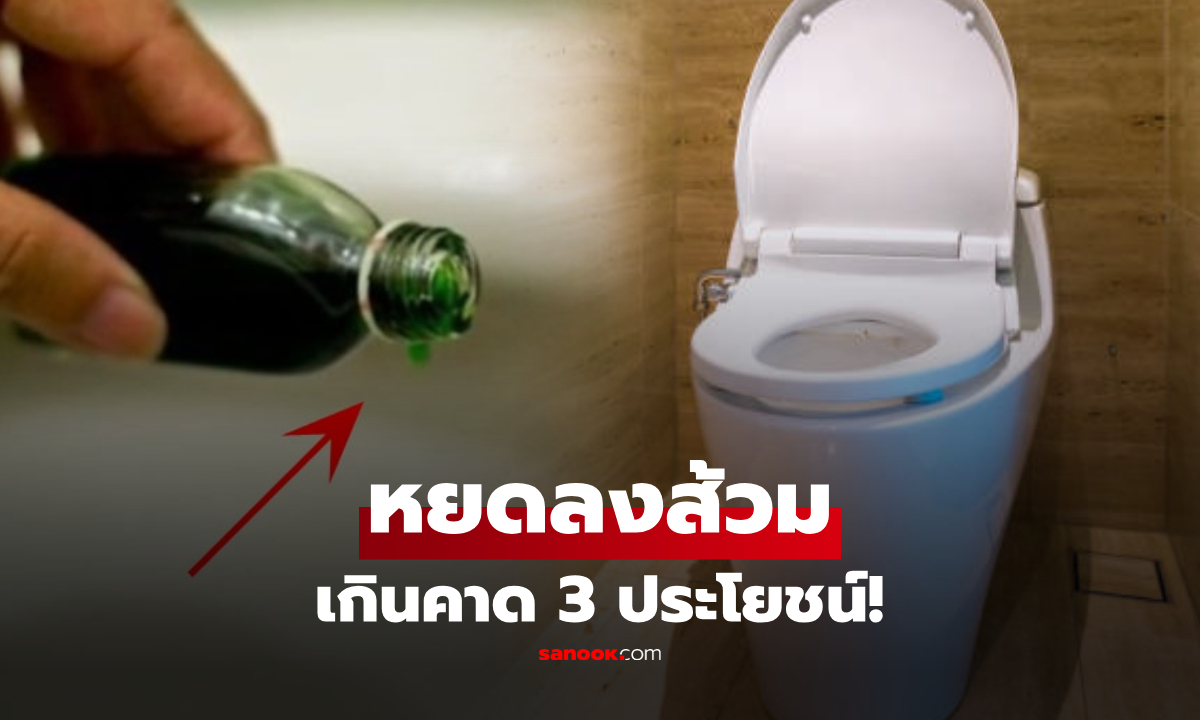 "ยาหม่องน้ำ" หยดลงในชักโครก ต่างชาติเผย 3 ประโยชน์สุดว้าว ไม่ใช่แค่ไล่แมลง!