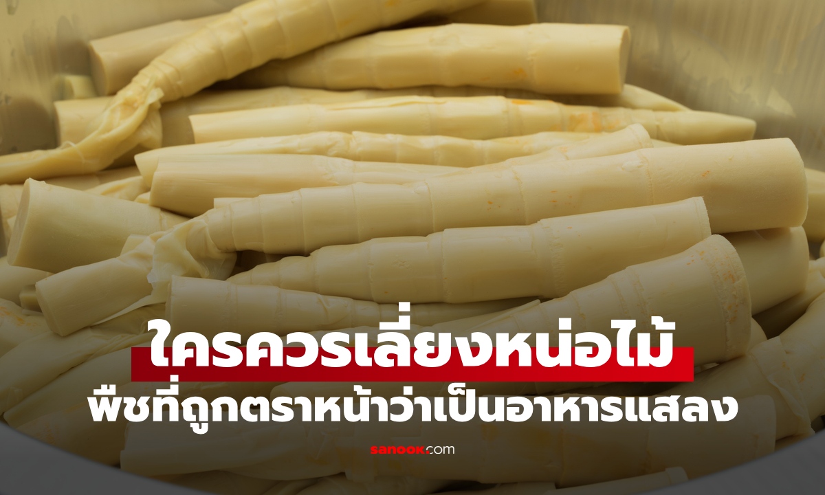 ภาพใครควรเลี่ยง "หน่อไม้" พืชที่ถูกตราหน้าว่าเป็นอาหารแสลง วิธีกินไม่ให้อันตราย