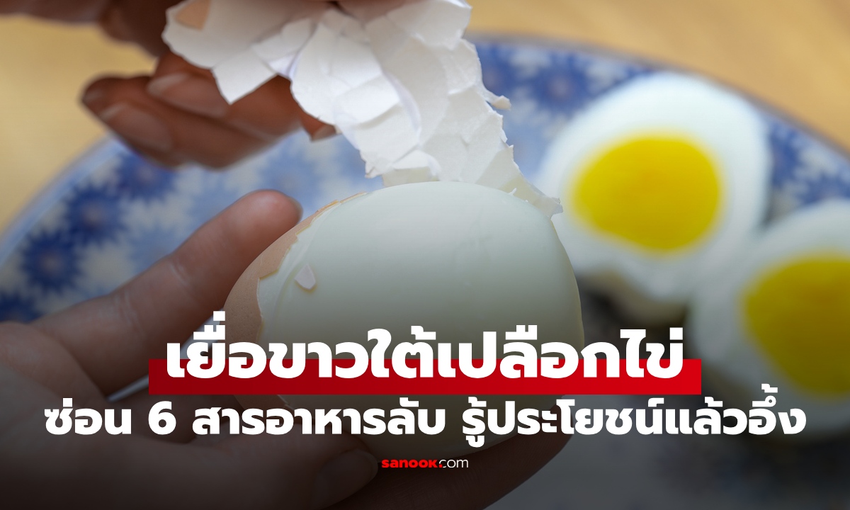 เยื่อขาวใต้เปลือกไข่ เยื่อบางๆ ตอนปอกไข่ต้ม ซ่อน 6 สารอาหารลับ รู้ประโยชน์แล้วอึ้ง