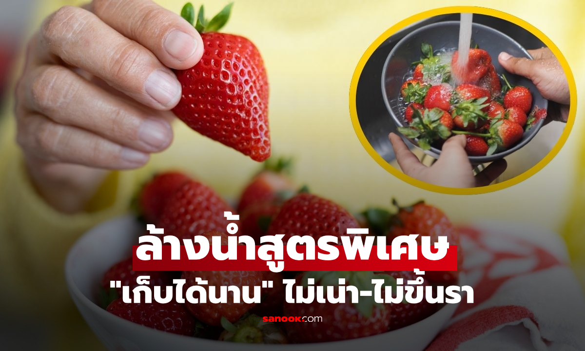 สตรอว์เบอร์รี เก็บไว้ที่ไหนในบ้านดี? เปิดทริคล้างน้ำสูตรพิเศษ สดนาน-ไม่เน่า-ไม่ขึ้นรา