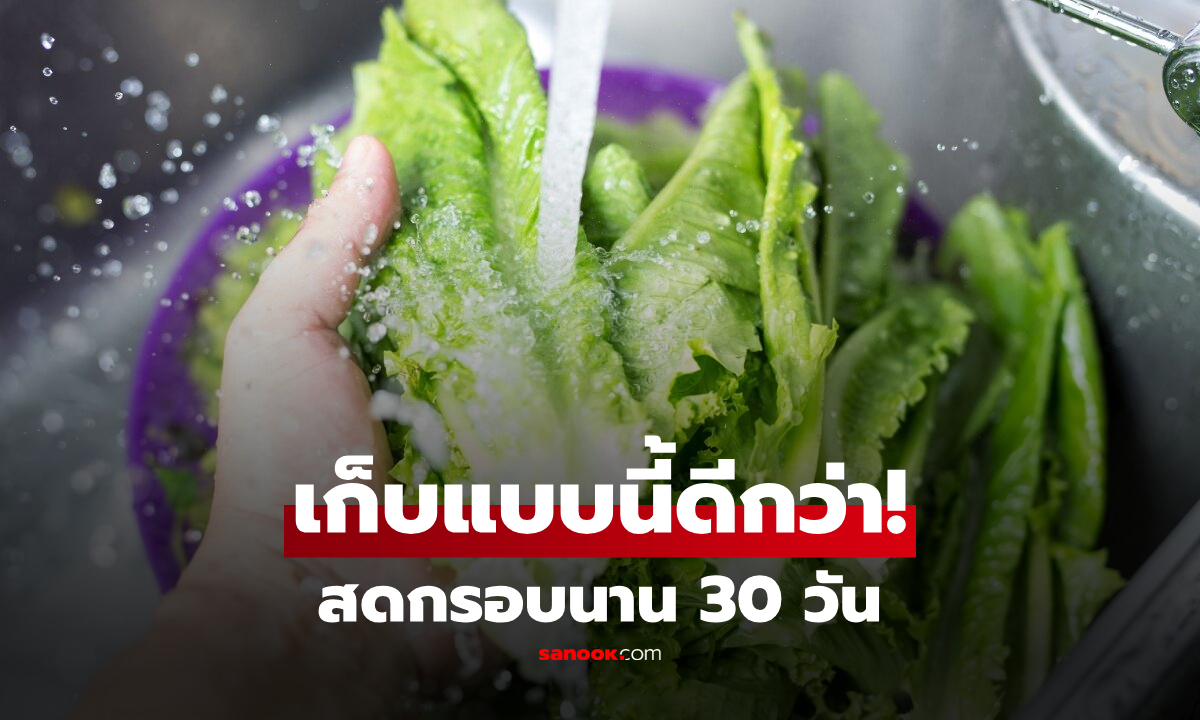 เลิกแช่น้ำ! เผยทริกเก็บ 'ผักสลัด-ผักกาดหอม' ให้สดกรอบนาน 30 วัน ด้วยของใช้ใกล้ตัว