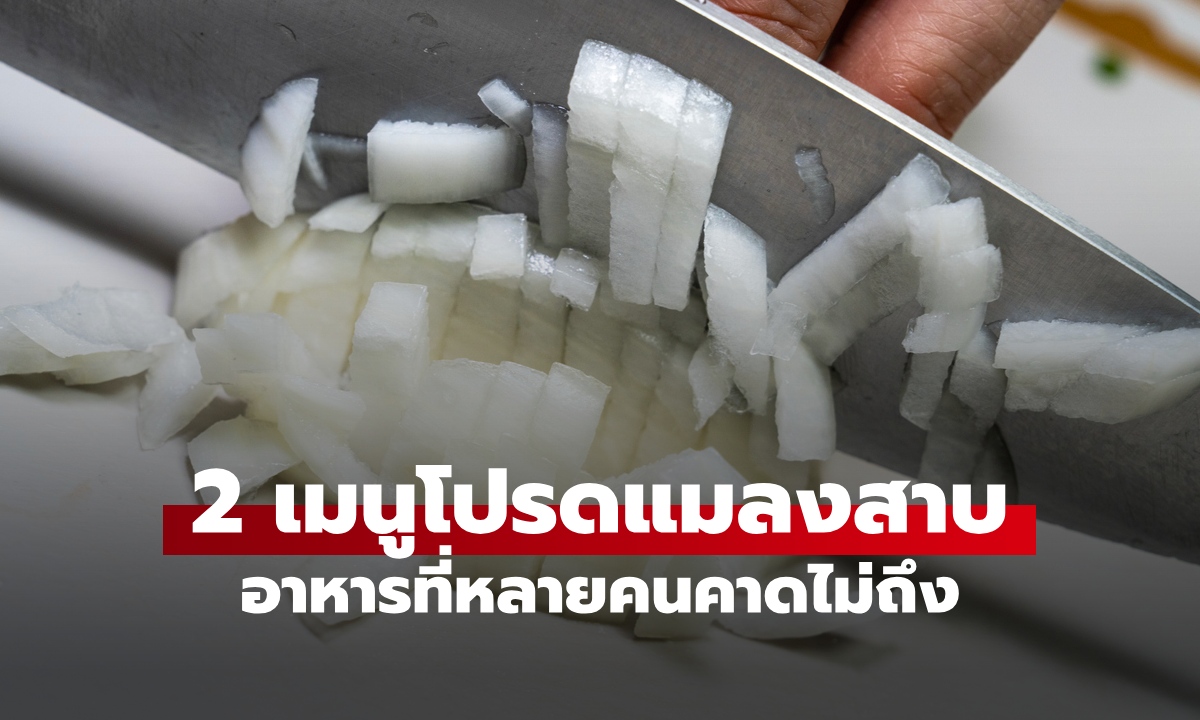 แมลงสาบชอบกินอะไร? ผู้เชี่ยวชาญเผย 2 เมนูโปรดกลิ่นดึงดูด ความรู้ใหม่ที่คาดไม่ถึง