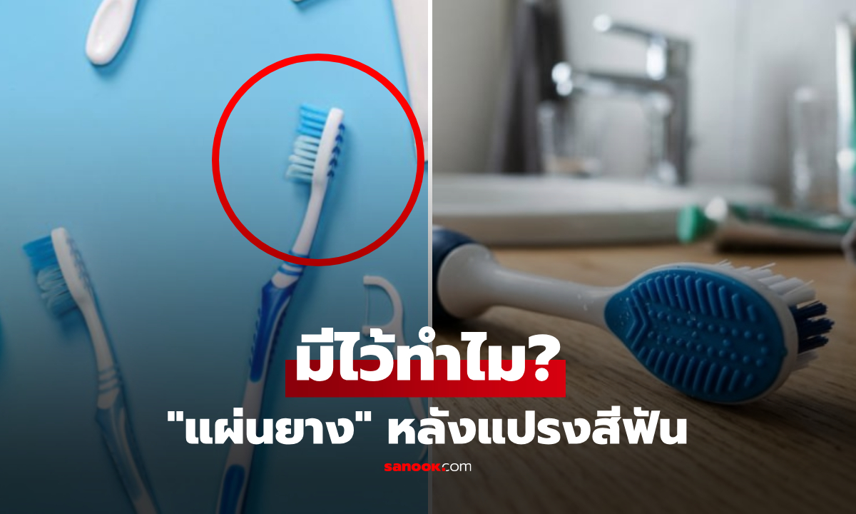 ไม่ใช่แค่ขัดลิ้น! "แผ่นยางหลังแปรงสีฟัน" มีไว้ทำไม? เฉลยประโยชน์ที่หลายคนไม่เคยรู้