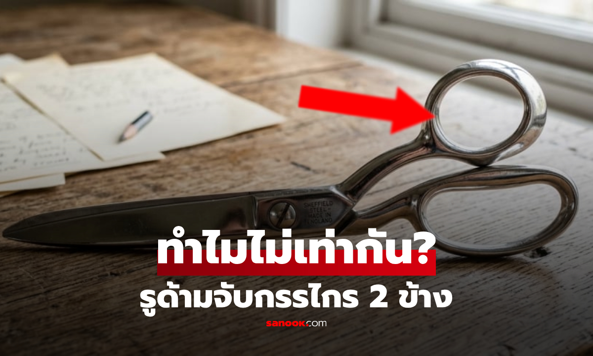 เฉลยปริศนา! รูด้ามจับกรรไกร 2 ข้าง "ขนาดไม่เท่ากัน" ออกแบบให้แตกต่างเพื่ออะไร?