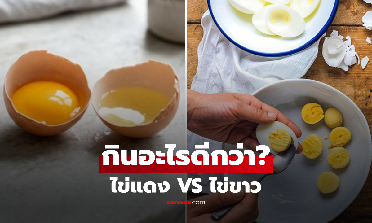 ไข่แดง VS ไข่ขาว กินไปต่างกันอย่างไร? วิจัยเฉลยเรื่อง "คอเลสเตอรอล" ที่หลายคนเข้าใจผิด!