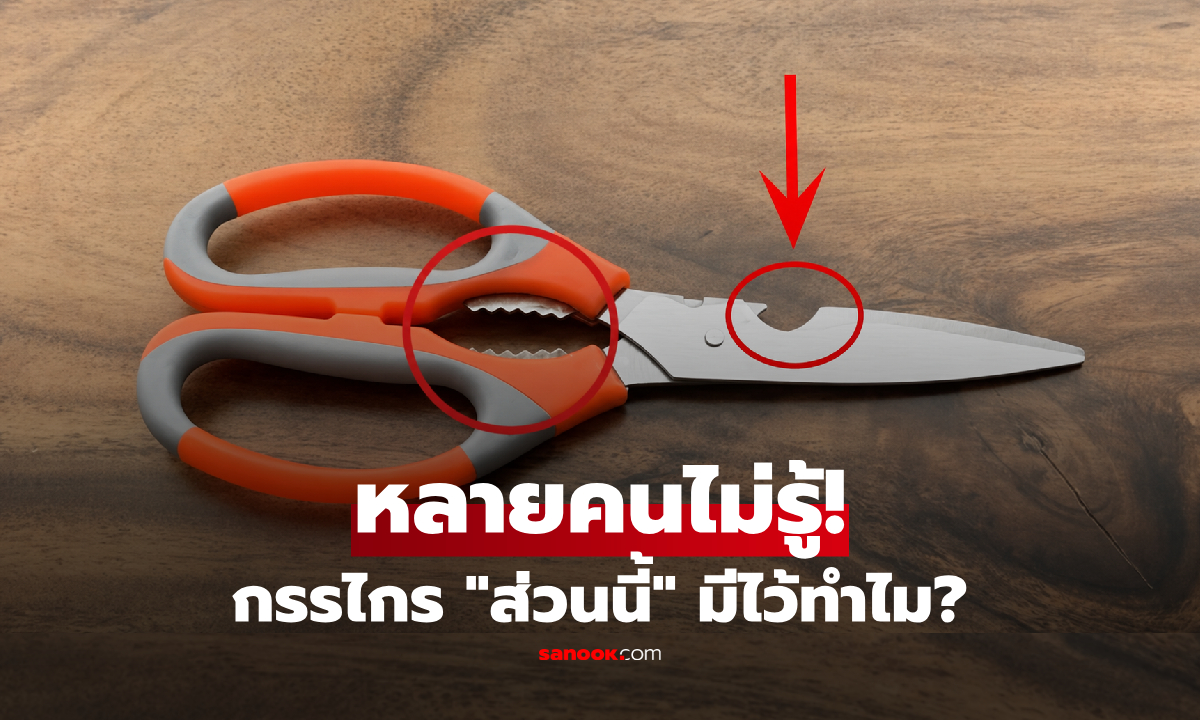 ทำไม? ตรงกลางกรรไกรต้องมี "ช่องเว้าและรอยหยัก" ฟังก์ชันลับที่หลายคนไม่เคยใช้