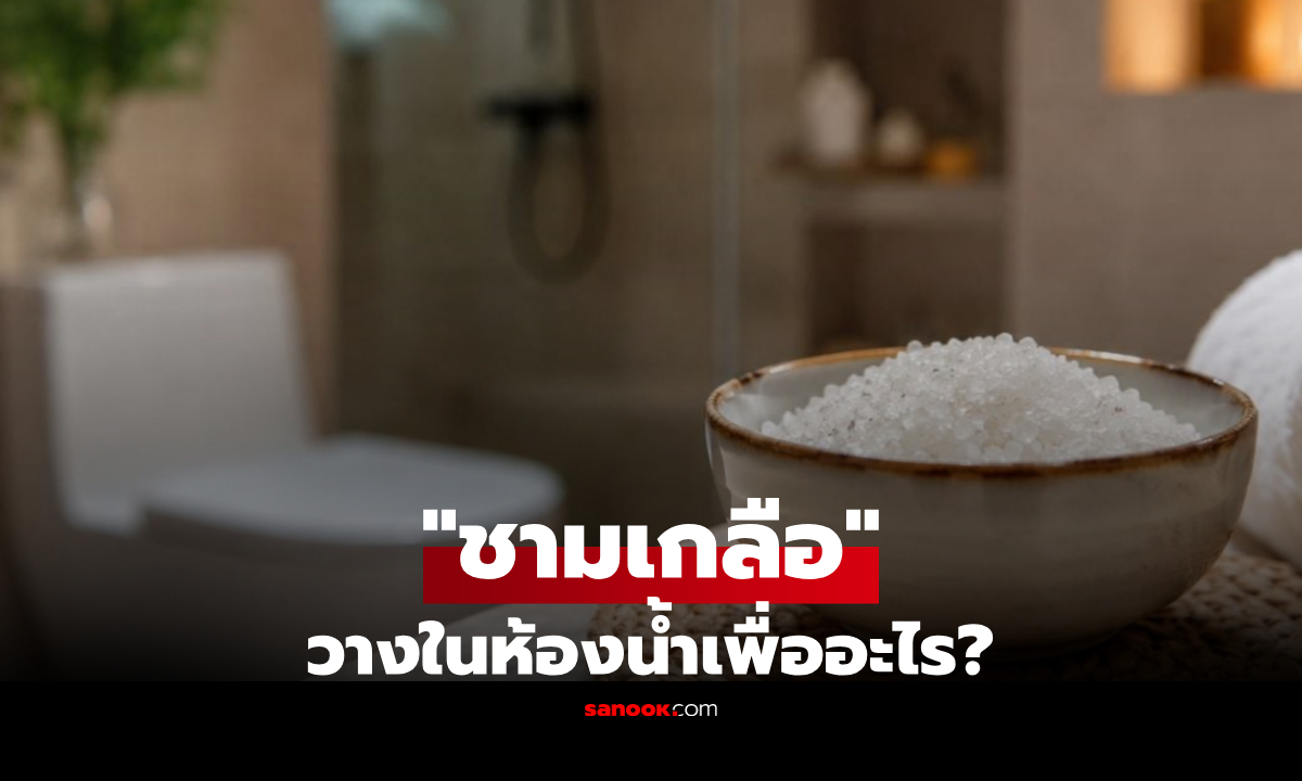 เฉลยแล้ว! "ชามเกลือ" วางไว้ในห้องน้ำ ได้ประโยชน์อะไร? ไม่ใช่แค่ดับกลิ่น-ดูดความชื้น