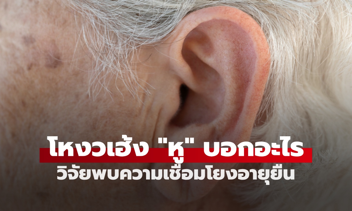 หูใหญ่-หูยาว อายุยืนจริงหรือไม่? เปิดผลวิจัยทางวิทยาศาสตร์ พบความเชื่อมโยงน่าทึ่ง