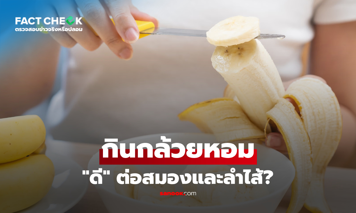 "กล้วยหอม" ดีต่อสมองและลำไส้จริงหรือ? กูรูเผยเคล็ดลับที่น้อยคนจะรู้! : เช็กข่าวชัวร์