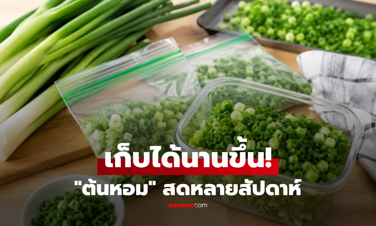 เคล็ดลับเก็บ "ต้นหอม" สด-เขียว-หอม อยู่นานหลายสัปดาห์ โดยไม่ติดกันเป็นก้อน!