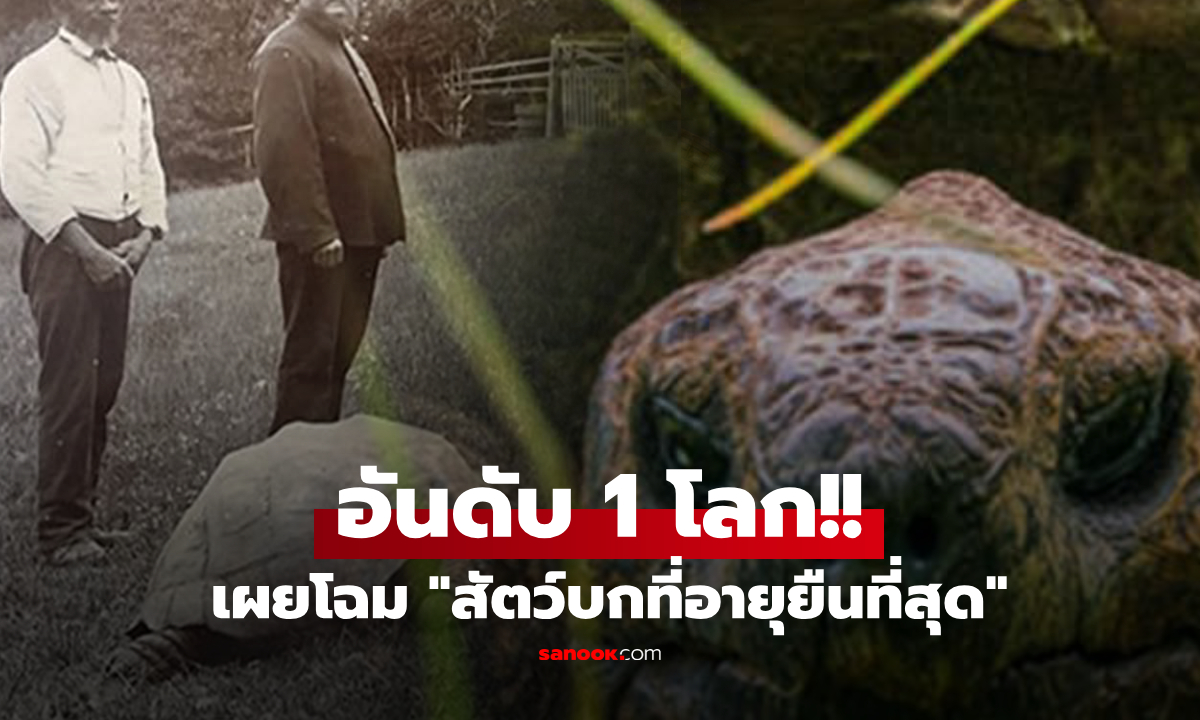 เปิดคลิปสัตว์บก "อายุยืนที่สุดในโลก" เกิดก่อนโทรศัพท์ และรอดตายสงครามโลก 2 ครั้ง!!