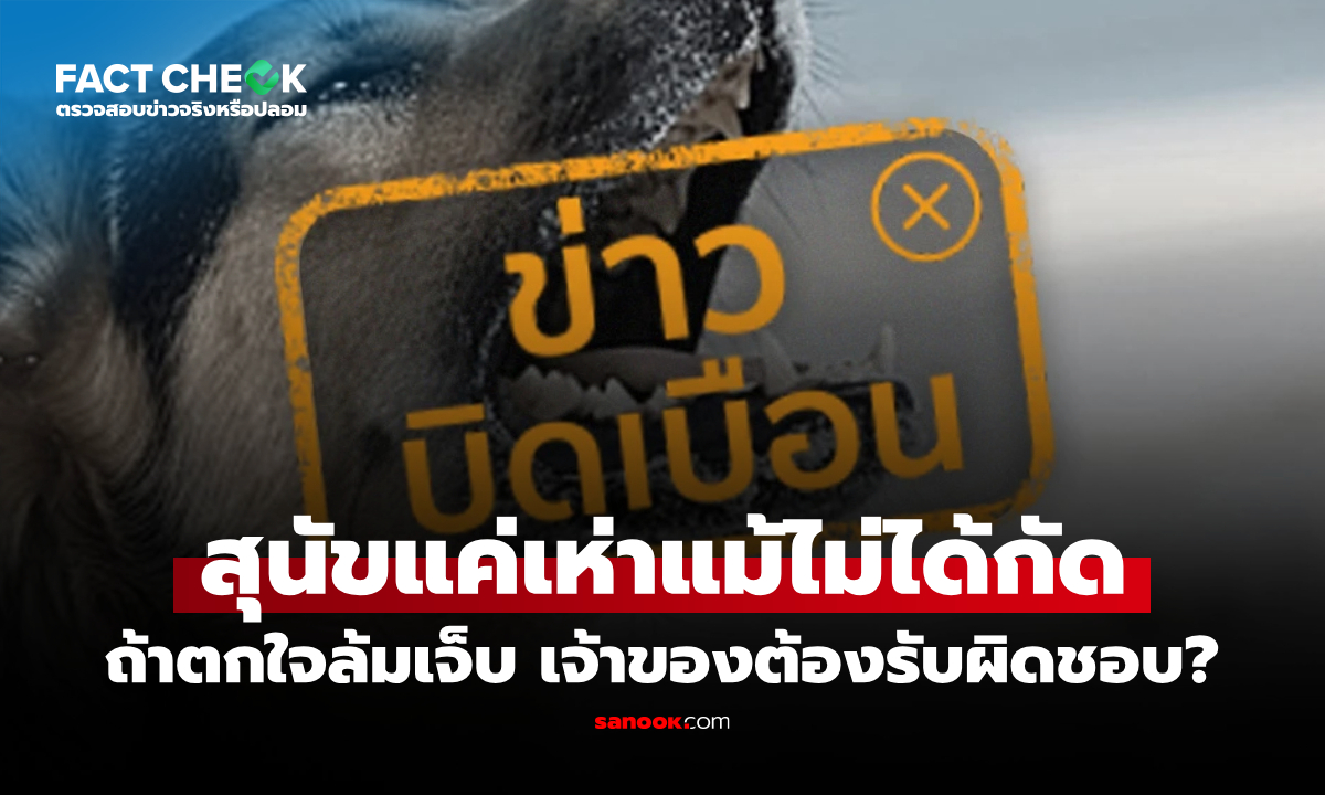 สุนัขแค่เห่าจนเด็กตกใจล้มบาดเจ็บ เจ้าของต้องรับผิดชอบค่าเสียหายจริงหรือไม่? : เช็กข่าวชัวร์