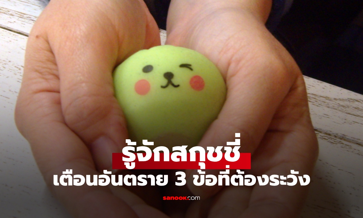 รู้จัก "สกุชชี่" ของเล่นนุ่มนิ่มยอดฮิต ทำมาจากอะไร? เตือนอันตราย 3 ข้อที่ควรระวัง