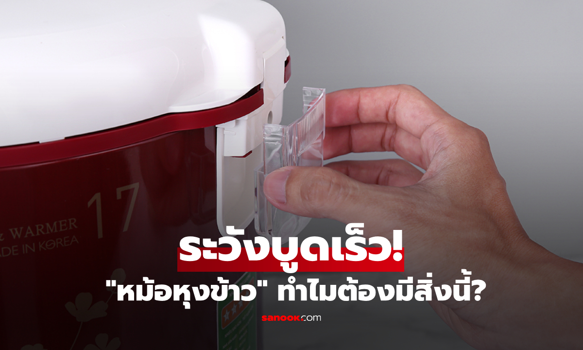 ทำไม "หม้อหุงข้าว" ต้องมีกระปุกพลาสติกเล็กๆ ด้านหลัง? รู้เหตุผลแล้วห้ามลืมล้างเด็ดขาด!