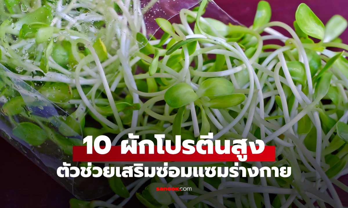 10 ผักโปรตีนสูง ตัวช่วยซ่อมแซมร่างกาย ย่อยง่ายได้วิตามิน สายมังสวิรัติห้ามพลาด