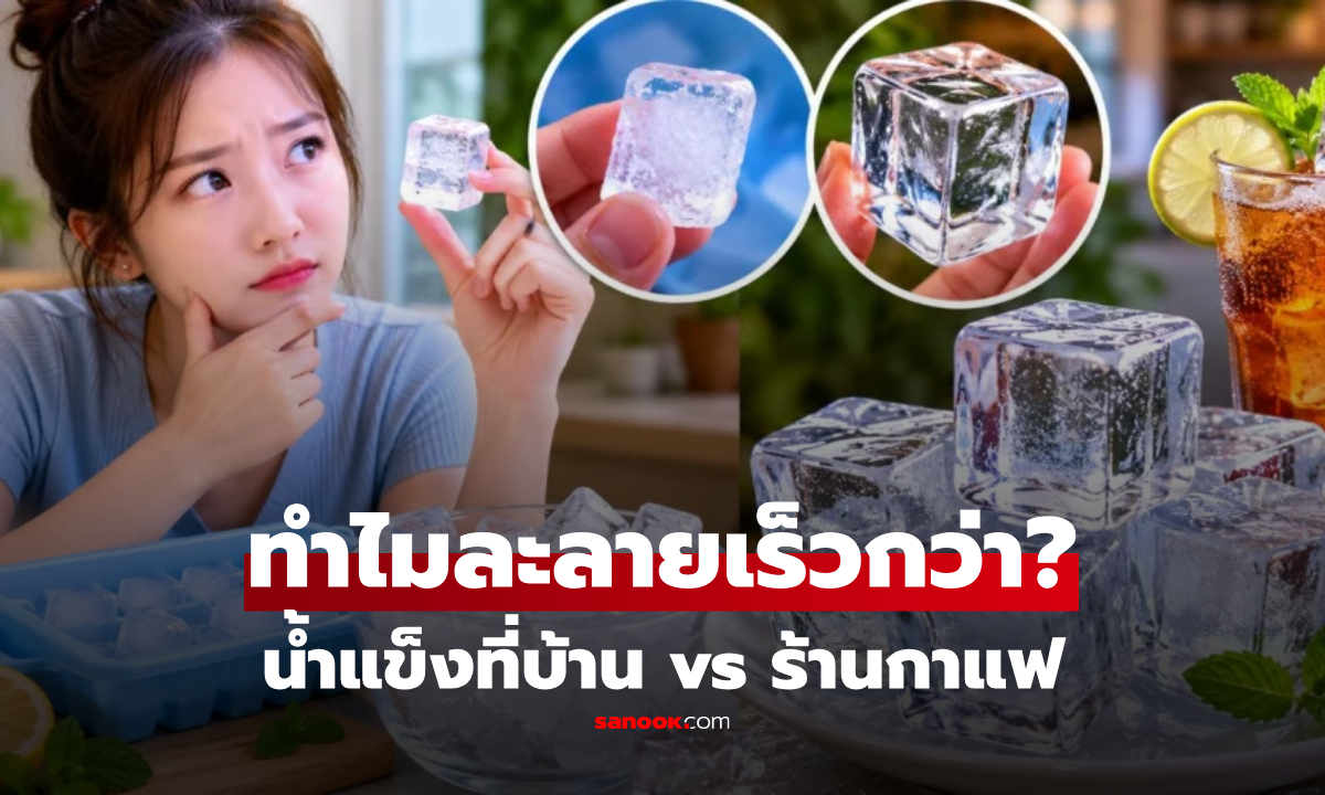 กินทีไรก็ไม่จืด! เฉลย “น้ำแข็งร้านกาแฟ” ทำไมละลายช้า? แจกทริกทำเองง่ายๆ ให้อยู่นานแบบมือโปร