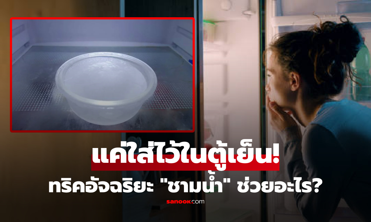 ทำไมควรใส่ "ถ้วยน้ำ" ทิ้งไว้ในตู้เย็น? เฉลยทริกอัจฉริยะ รู้ประโยชน์แล้วจะรีบทำตามทันที!